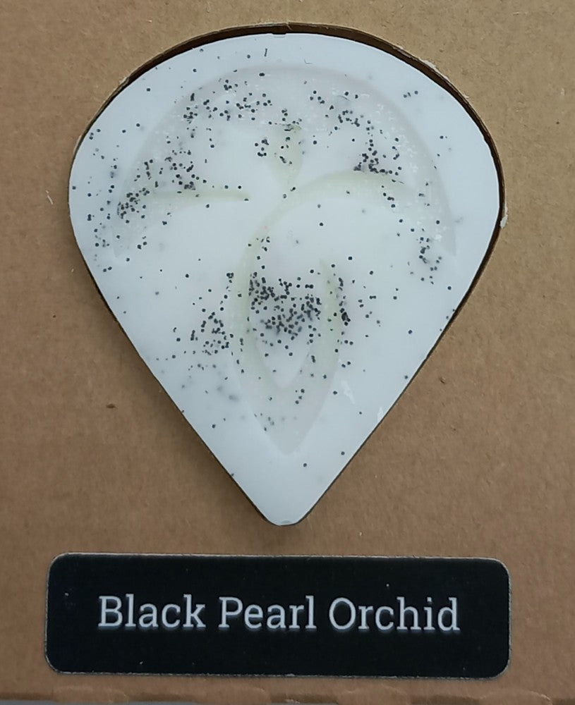 Black Pearl Orchid