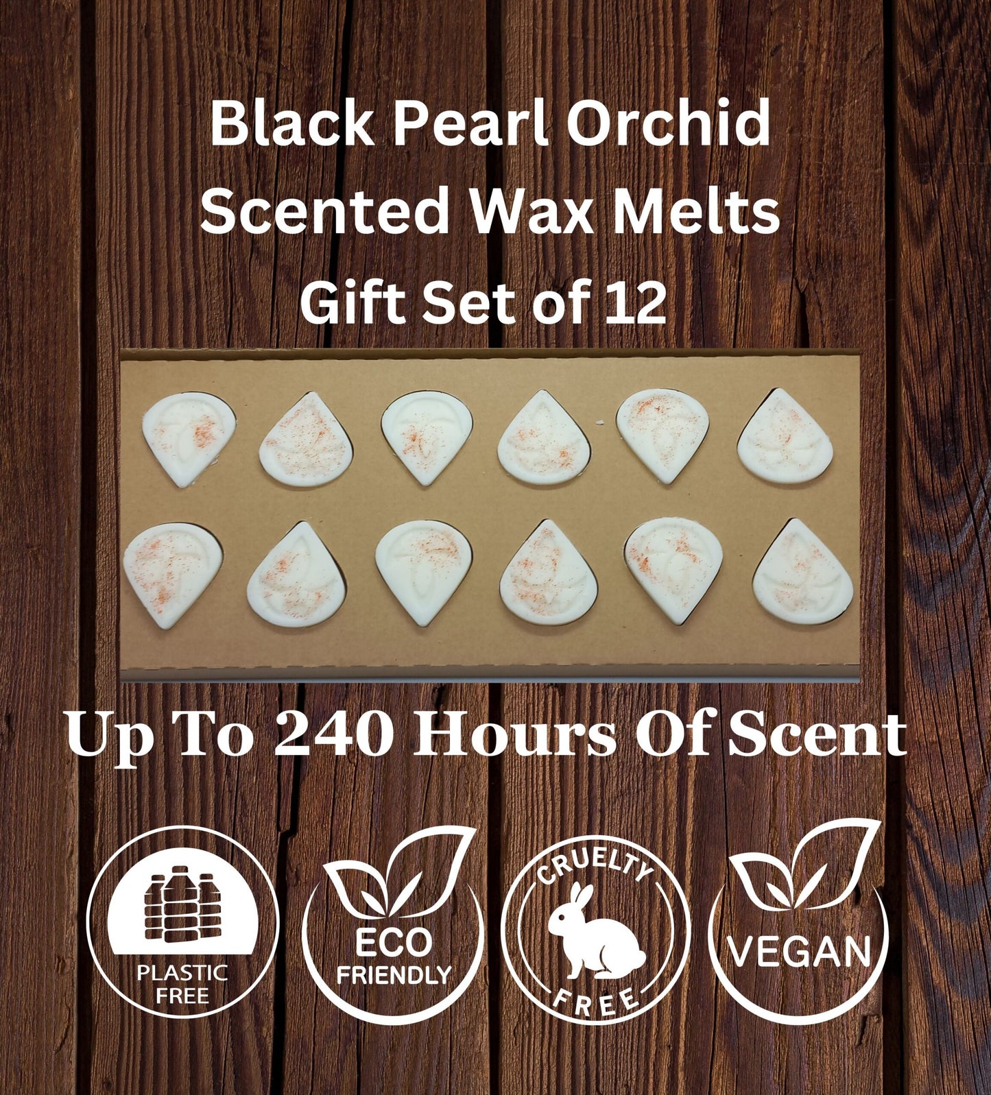 Black Pearl Orchid