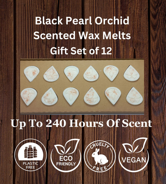 Black Pearl Orchid