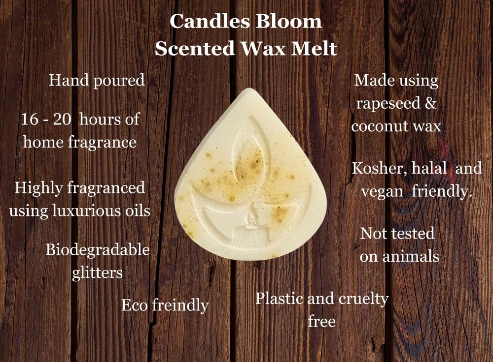 Wax Melts Gift Set