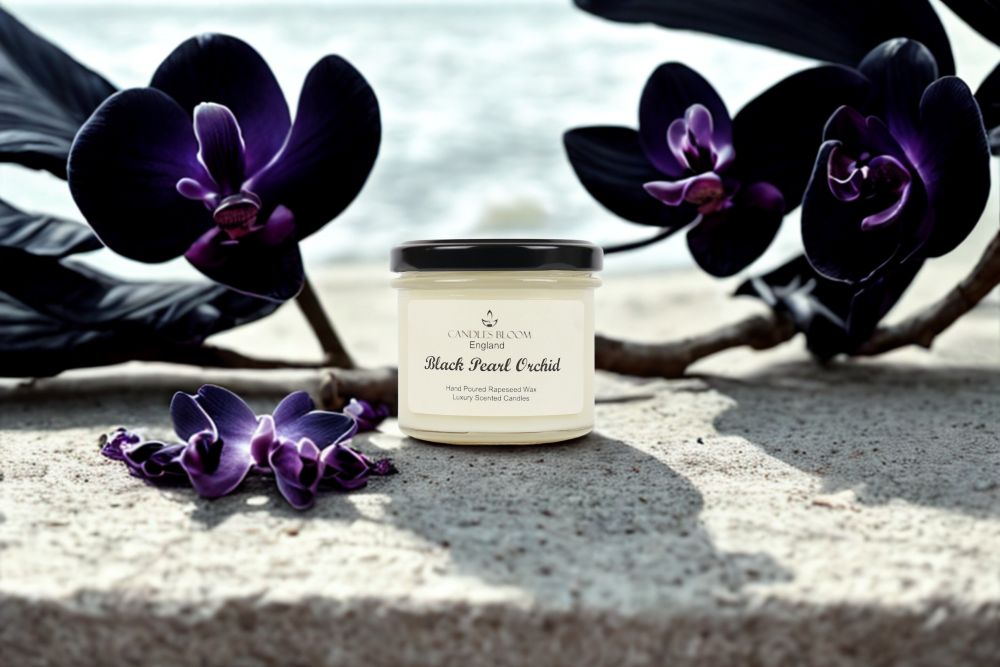 Black Pearl Orchid
