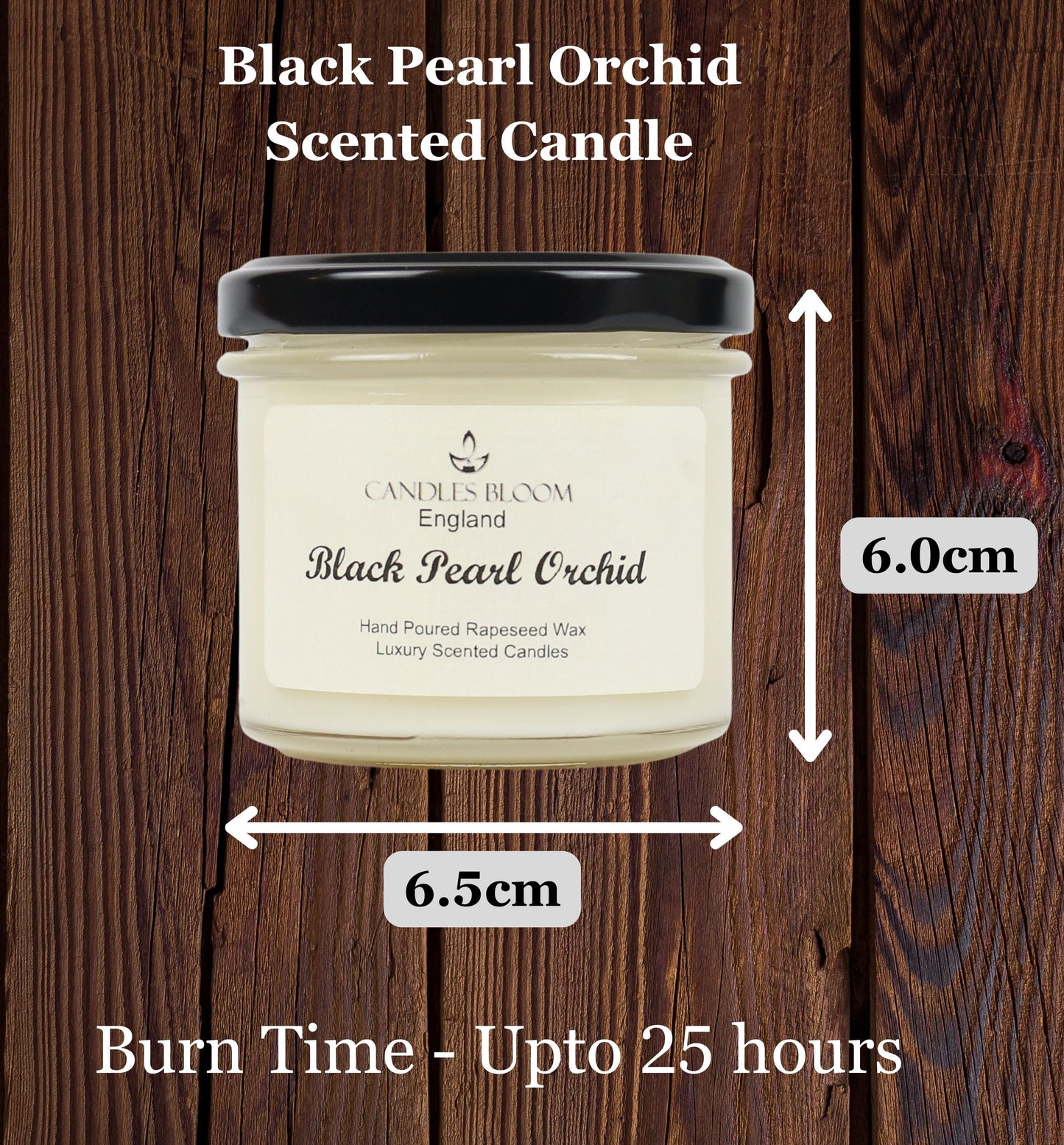 Black Pearl Orchid