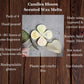 Frankincense and Myrrh Wax Melts