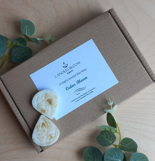 Wax Melts Pack of 12