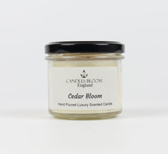 Cedar Bloom