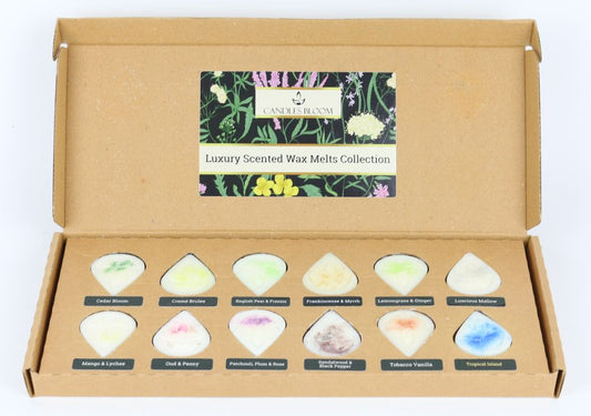Luxury Scented Wax Melts Collection
