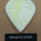 Mango & Lychee Wax Melts
