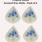 Tropical Island Wax Melts